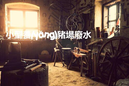 小型養(yǎng)豬場廢水處理設(shè)備的環(huán)保革命？答案在那個地點！